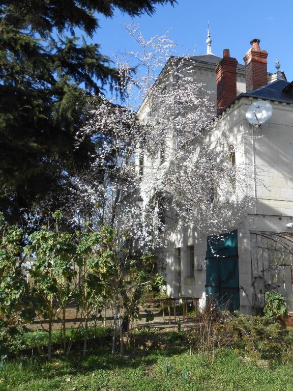 Clos Du Bois Brard B&B Saumur Ngoại thất bức ảnh